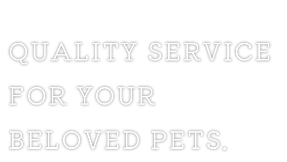 QUALITY SERVICE FOR YOUR  BELOVED PETS.